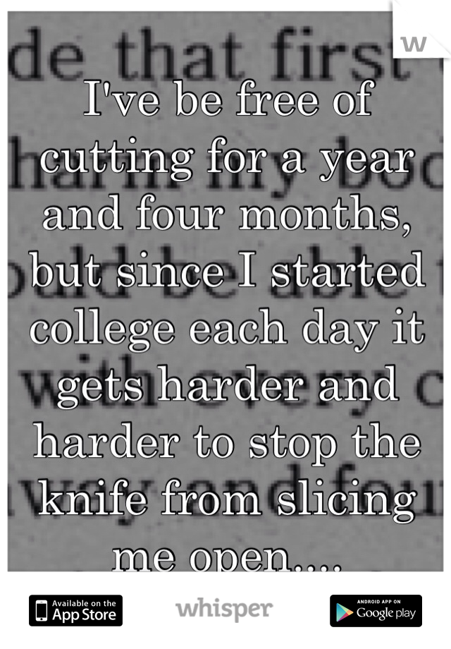 I've be free of cutting for a year and four months, but since I started college each day it gets harder and harder to stop the knife from slicing me open.... 