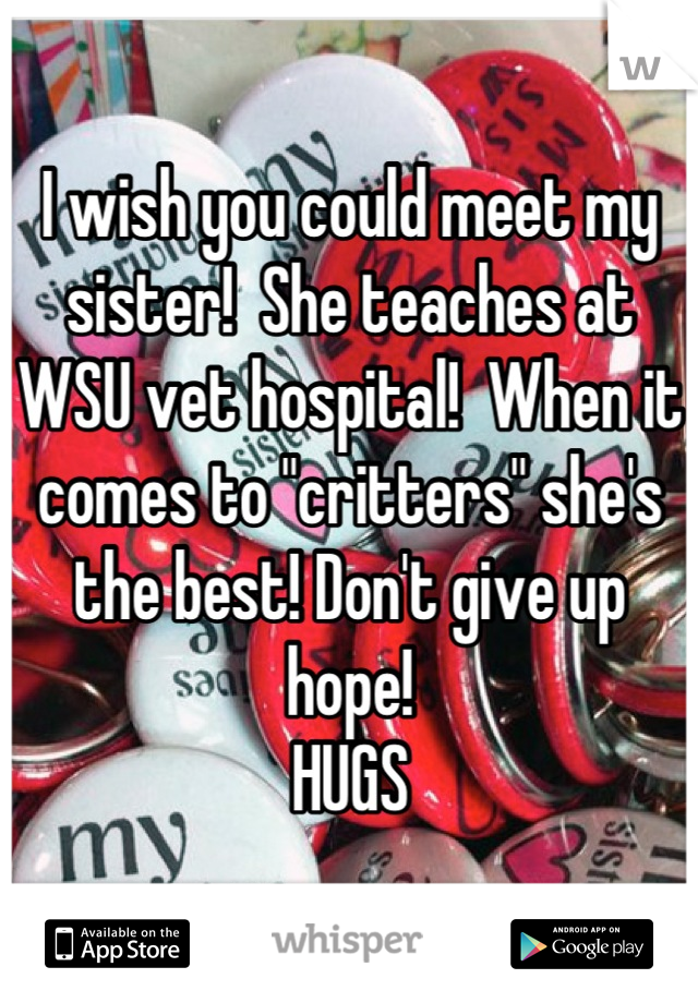 I wish you could meet my sister!  She teaches at WSU vet hospital!  When it comes to "critters" she's the best! Don't give up hope!
HUGS