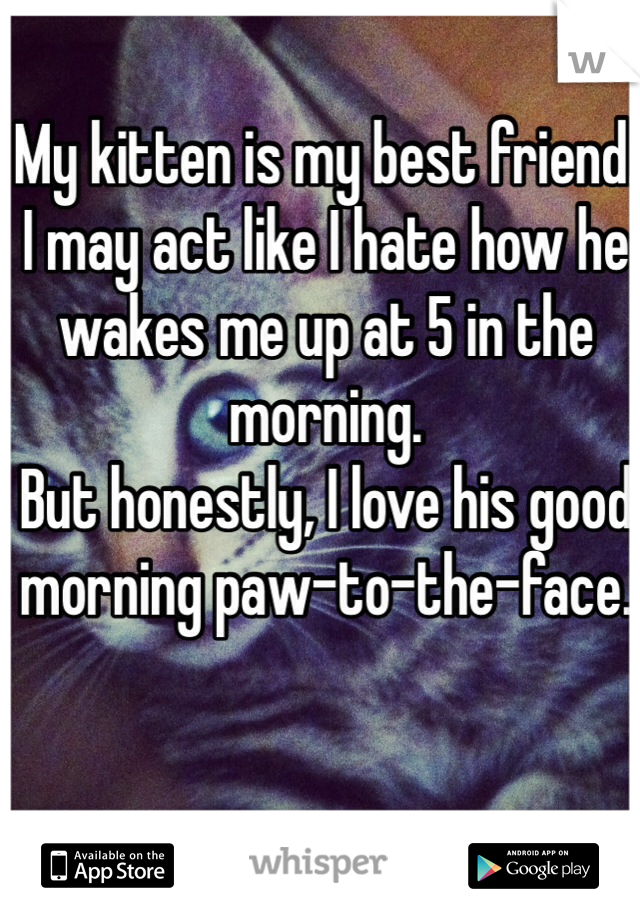 My kitten is my best friend. 
I may act like I hate how he wakes me up at 5 in the morning. 
But honestly, I love his good morning paw-to-the-face. 