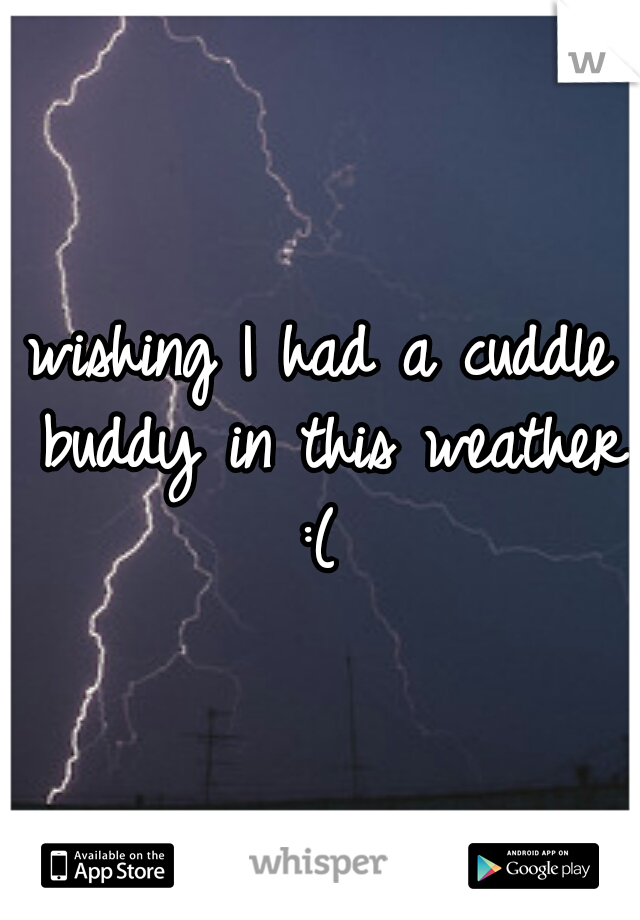 wishing I had a cuddle buddy in this weather :( 