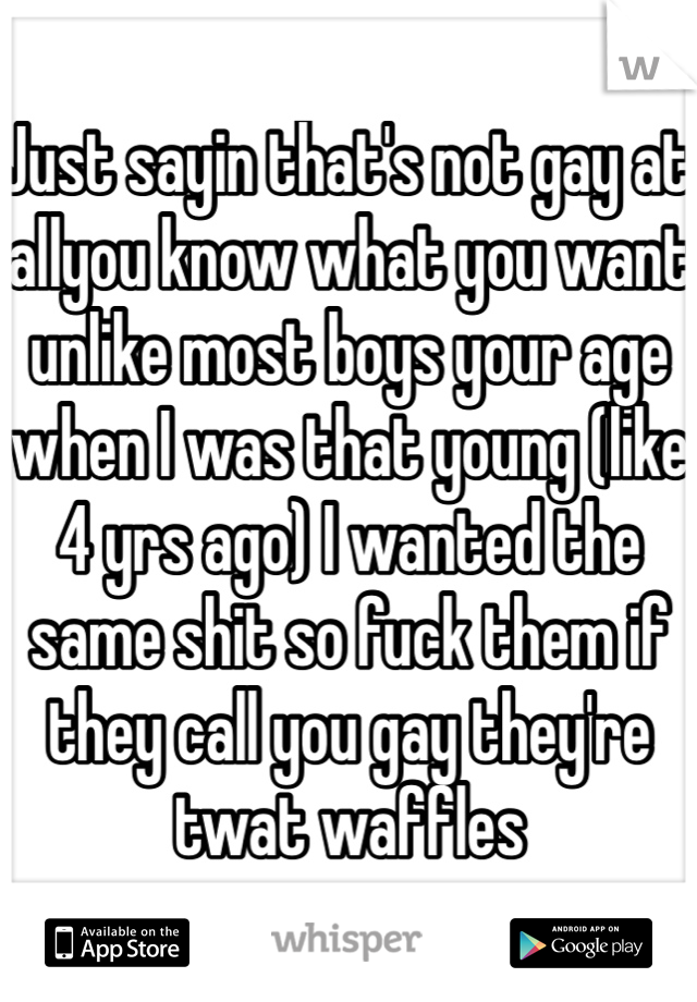 Just sayin that's not gay at allyou know what you want unlike most boys your age when I was that young (like 4 yrs ago) I wanted the same shit so fuck them if they call you gay they're twat waffles