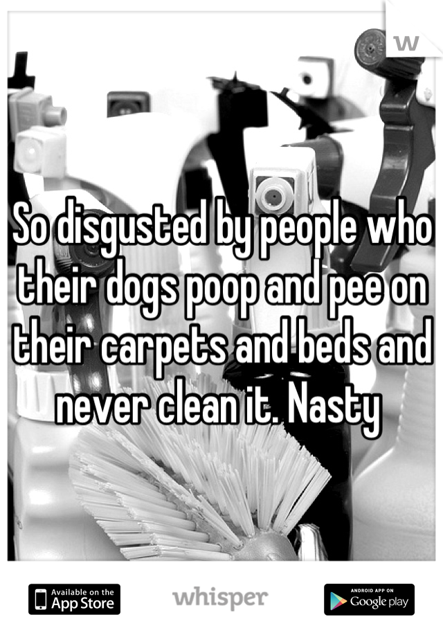 So disgusted by people who their dogs poop and pee on their carpets and beds and never clean it. Nasty 