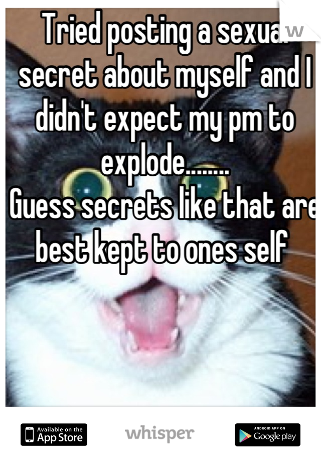 Tried posting a sexual secret about myself and I didn't expect my pm to explode........ 
Guess secrets like that are best kept to ones self 