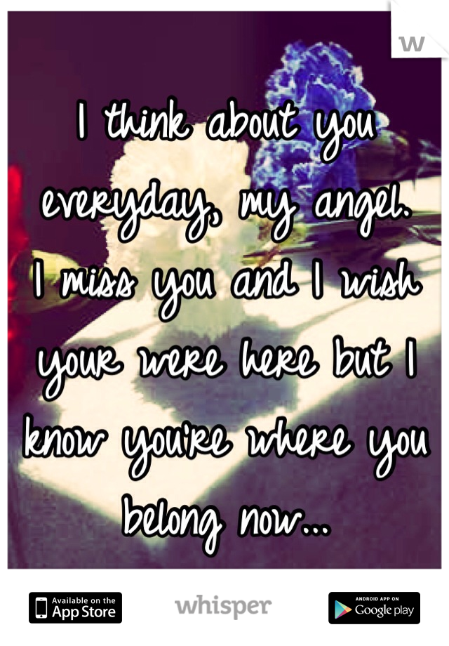 I think about you everyday, my angel. 
I miss you and I wish your were here but I know you're where you belong now...