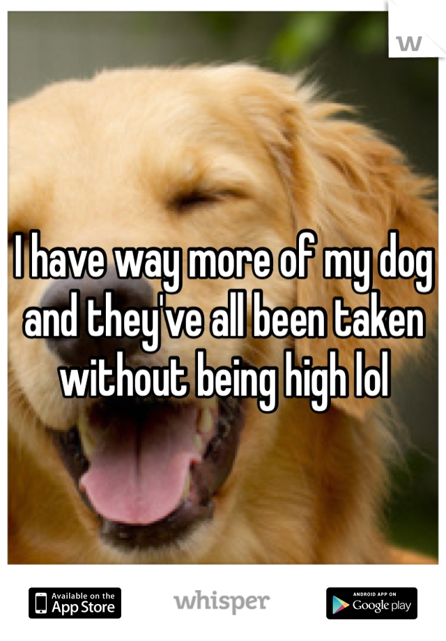 I have way more of my dog and they've all been taken without being high lol 