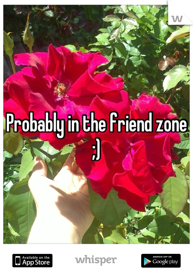 Probably in the friend zone ;)