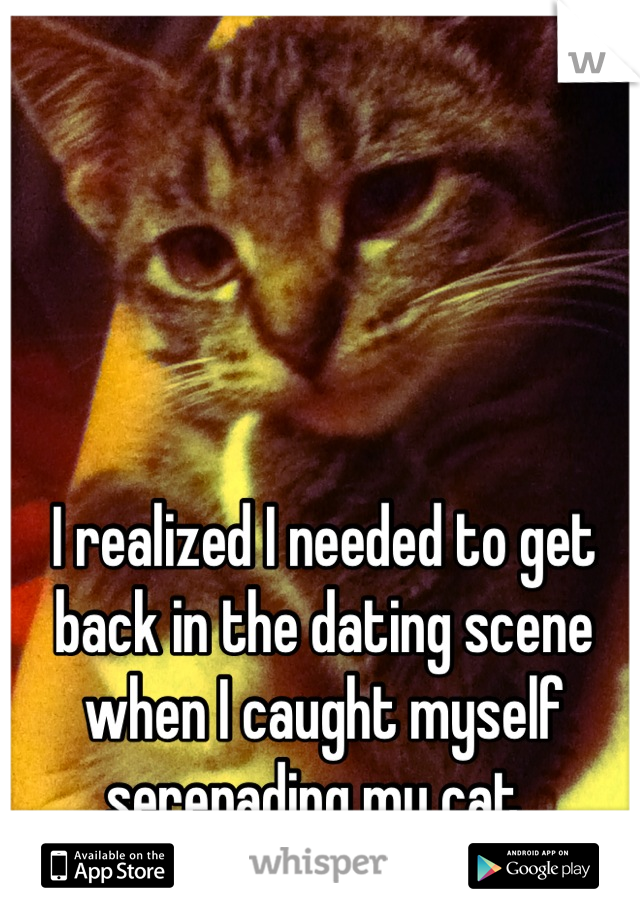 I realized I needed to get back in the dating scene when I caught myself serenading my cat. 