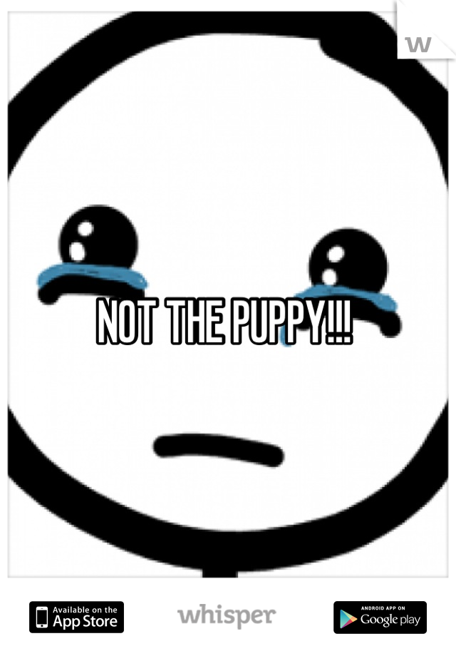 NOT THE PUPPY!!! 