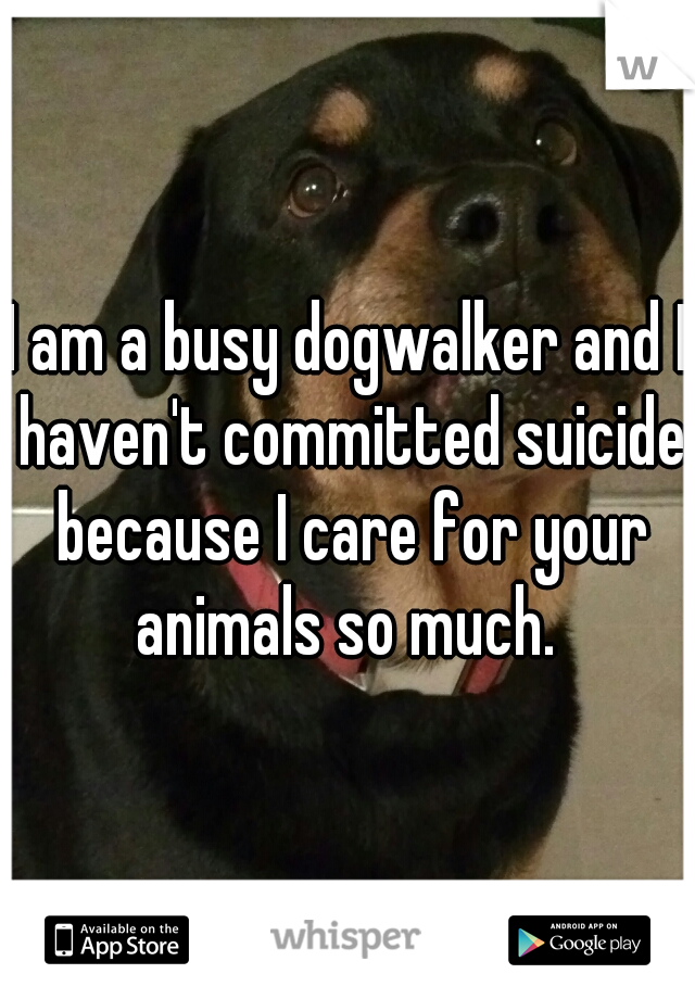 I am a busy dogwalker and I haven't committed suicide because I care for your animals so much. 