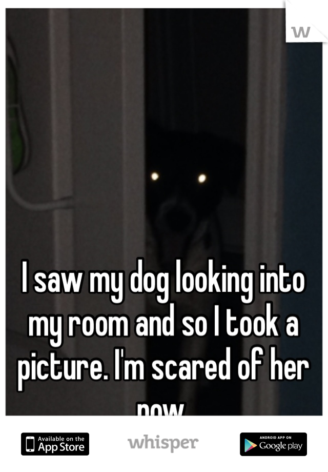 I saw my dog looking into my room and so I took a picture. I'm scared of her now.