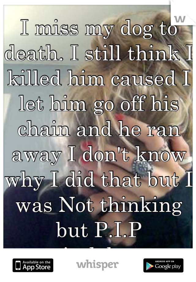 I miss my dog to death. I still think I killed him caused I let him go off his chain and he ran away I don't know why I did that but I was Not thinking but P.I.P grizzlybear 