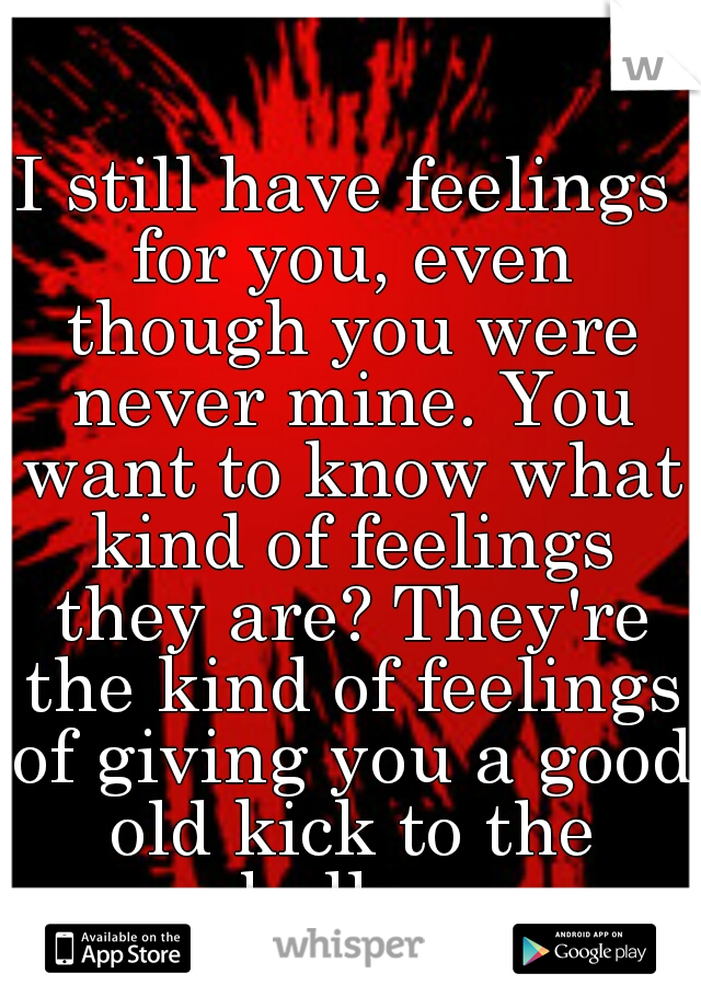 I still have feelings for you, even though you were never mine. You want to know what kind of feelings they are? They're the kind of feelings of giving you a good old kick to the balls...