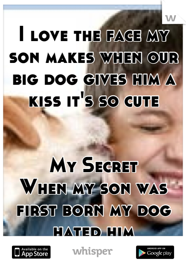 I love the face my son makes when our big dog gives him a kiss it's so cute 


My Secret
When my son was first born my dog hated him