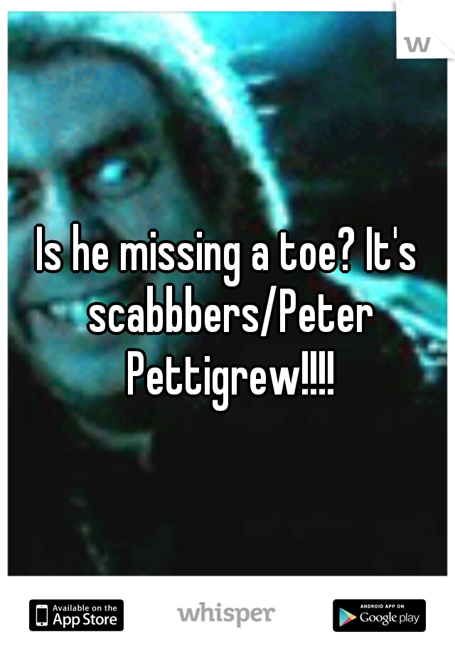 Is he missing a toe? It's scabbbers/Peter Pettigrew!!!!