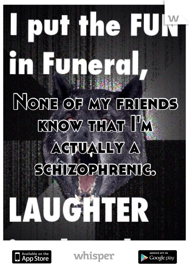 None of my friends know that I'm actually a schizophrenic.