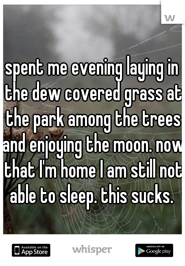 spent me evening laying in the dew covered grass at the park among the trees and enjoying the moon. now that I'm home I am still not able to sleep. this sucks. 