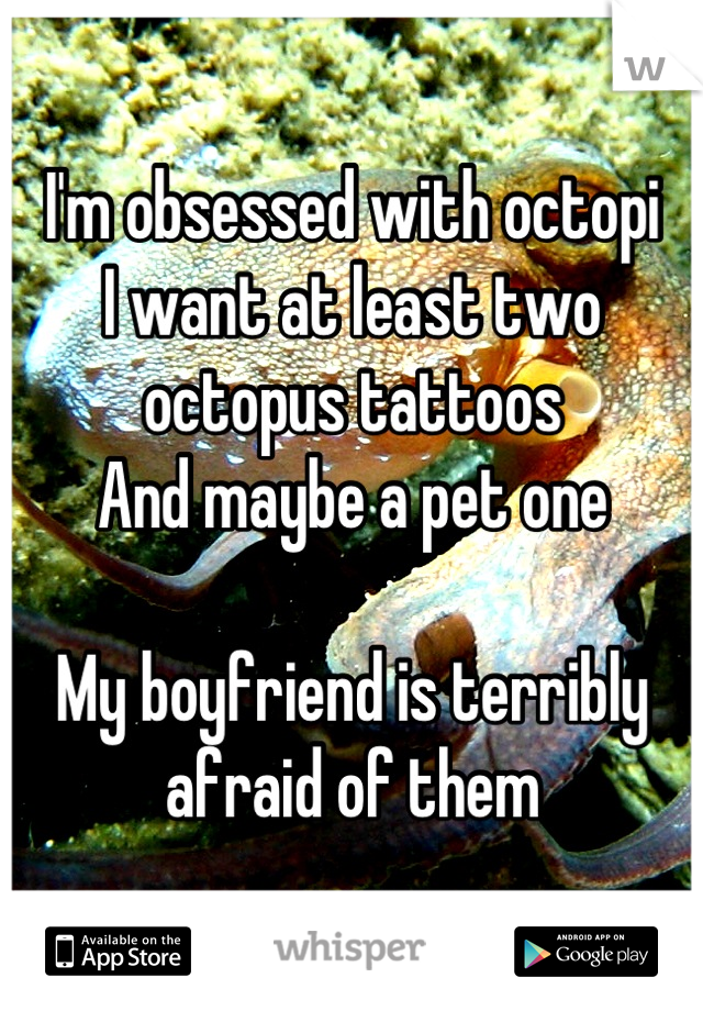 I'm obsessed with octopi 
I want at least two octopus tattoos
And maybe a pet one

My boyfriend is terribly afraid of them