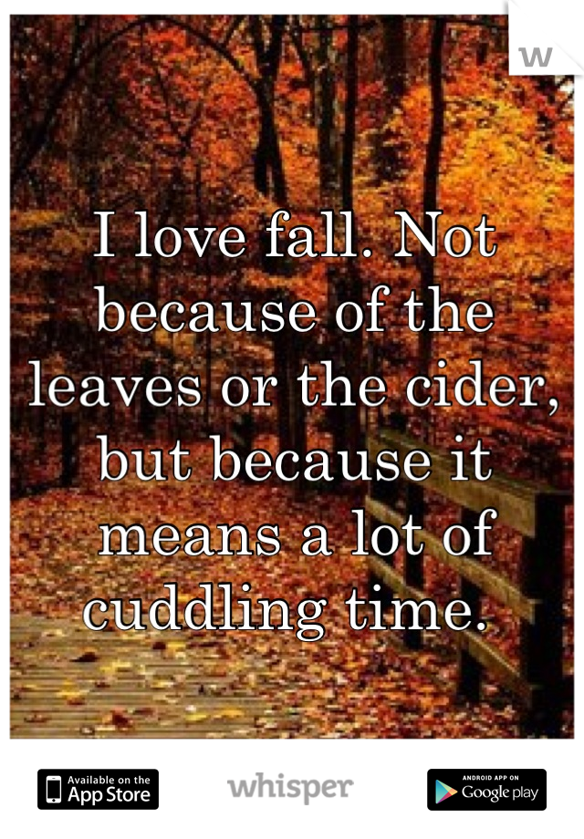 I love fall. Not because of the leaves or the cider, but because it means a lot of cuddling time. 