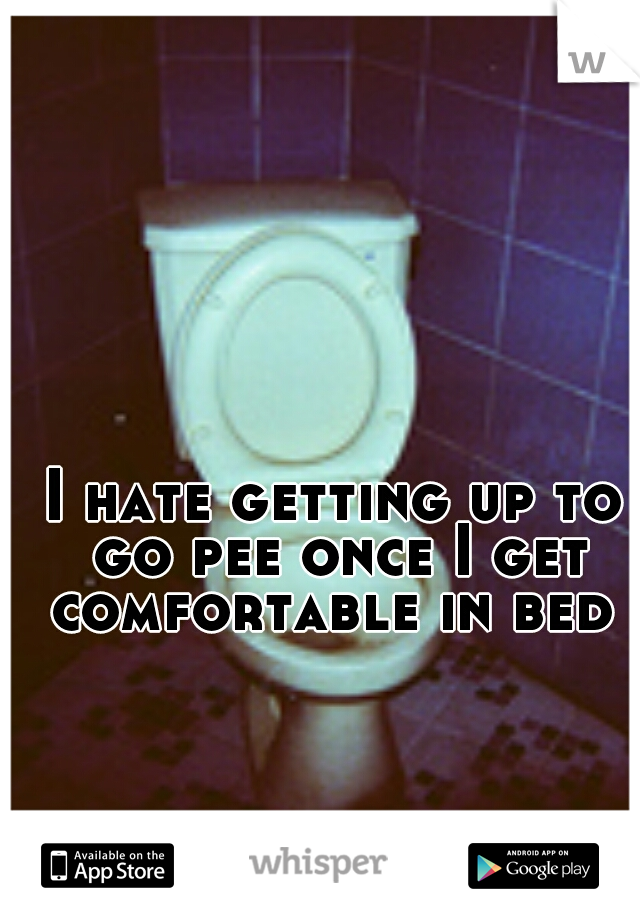 I hate getting up to go pee once I get comfortable in bed 