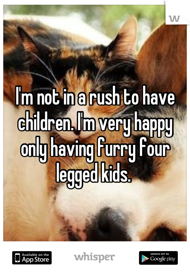 I'm not in a rush to have children. I'm very happy only having furry four legged kids. 