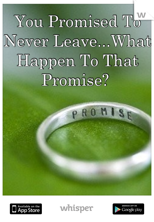 You Promised To Never Leave...What Happen To That Promise? 