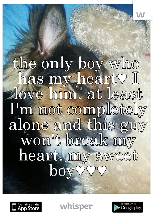 the only boy who has my heart♥ I love him. at least I'm not completely alone and this guy won't break my heart. my sweet boy♥♥♥