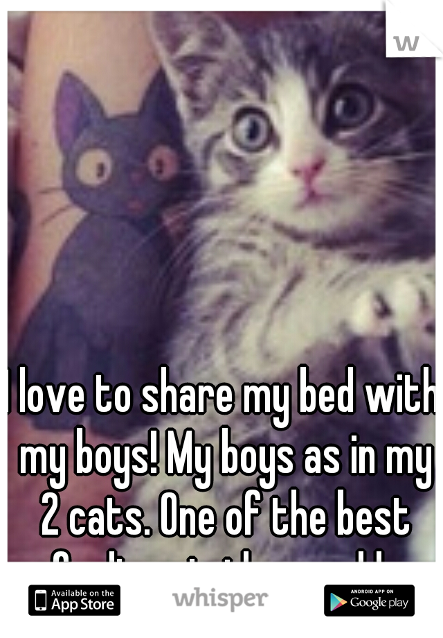 I love to share my bed with my boys! My boys as in my 2 cats. One of the best feelings in the world. 