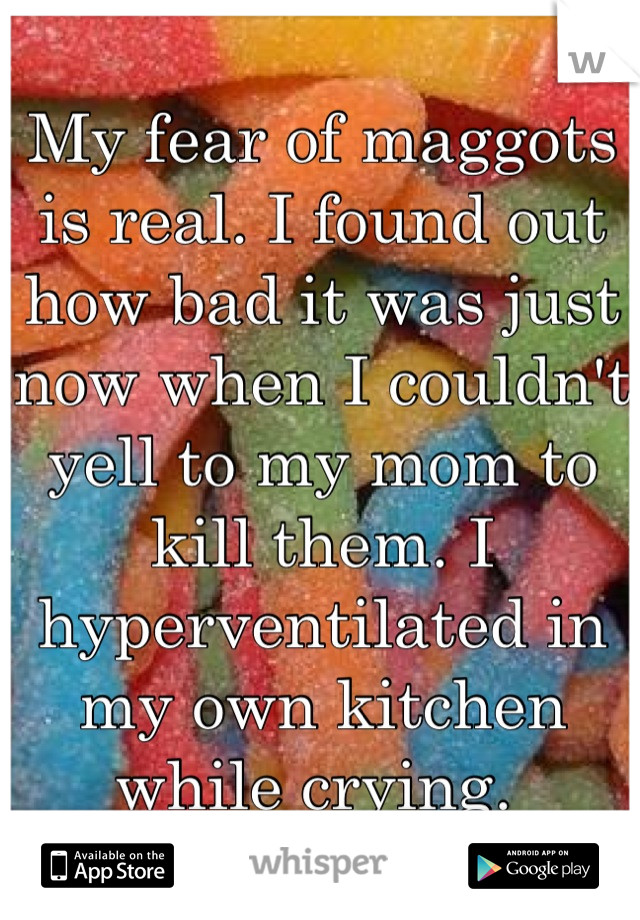 My fear of maggots is real. I found out how bad it was just now when I couldn't yell to my mom to kill them. I hyperventilated in my own kitchen while crying. 