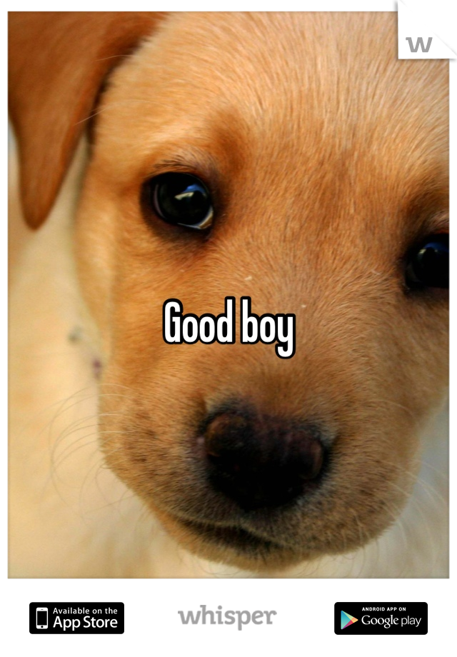 Good boy