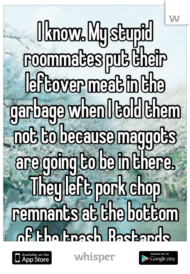 I know. My stupid roommates put their leftover meat in the garbage when I told them not to because maggots are going to be in there. They left pork chop remnants at the bottom of the trash. Bastards.