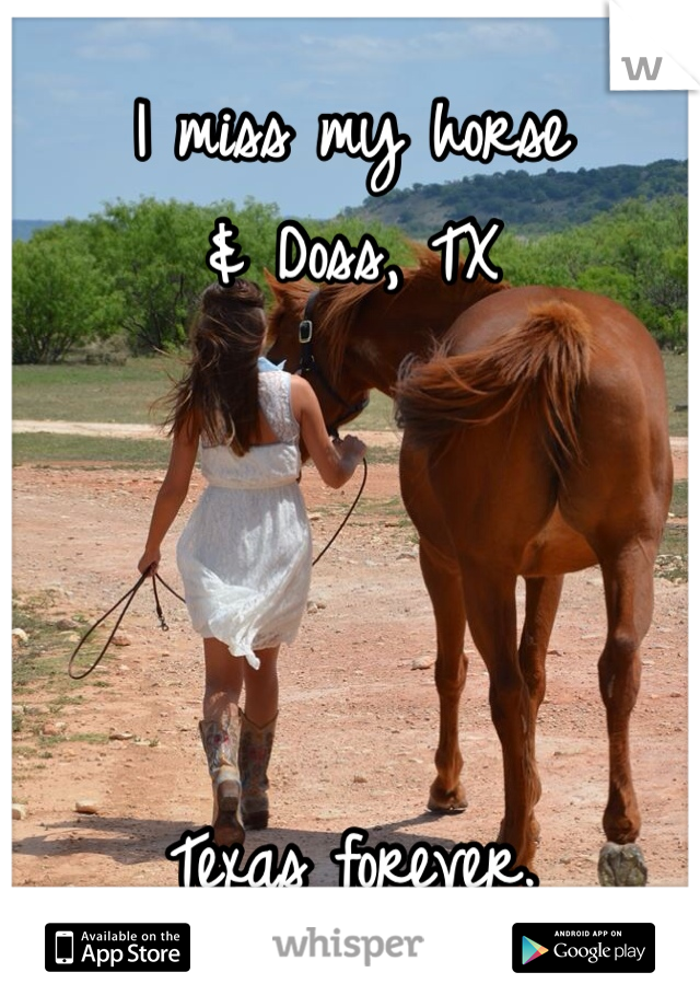 I miss my horse 
& Doss, TX 




Texas forever. 