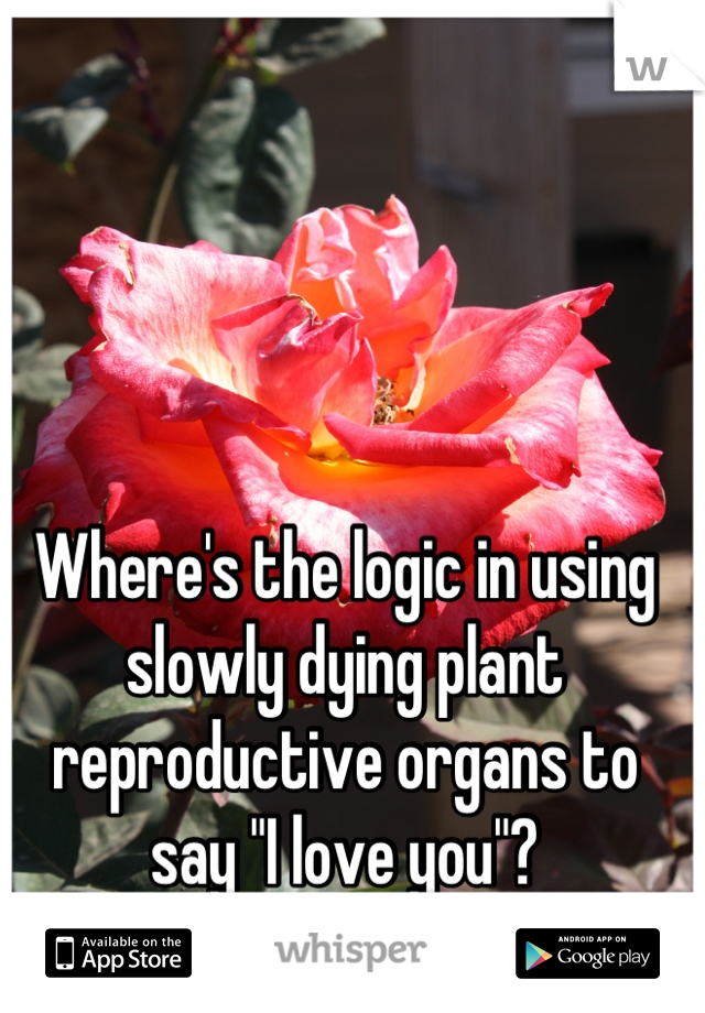 Where's the logic in using slowly dying plant reproductive organs to say "I love you"?