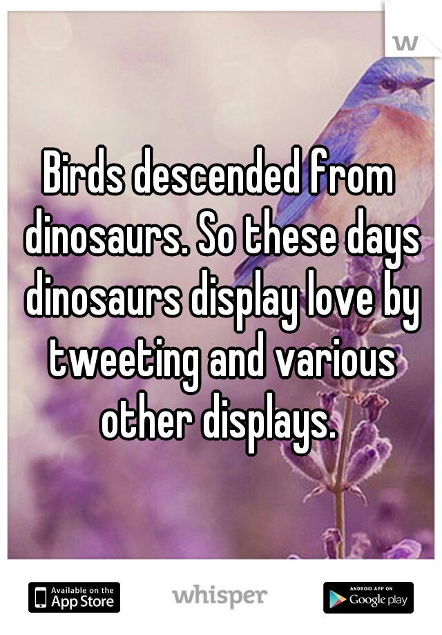 Birds descended from dinosaurs. So these days dinosaurs display love by tweeting and various other displays. 