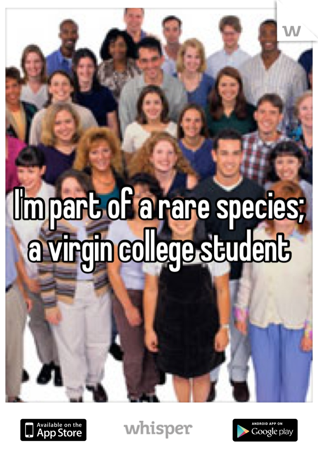 I'm part of a rare species; 
a virgin college student 
