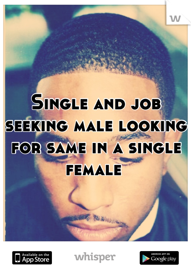 Single and job seeking male looking for same in a single female 