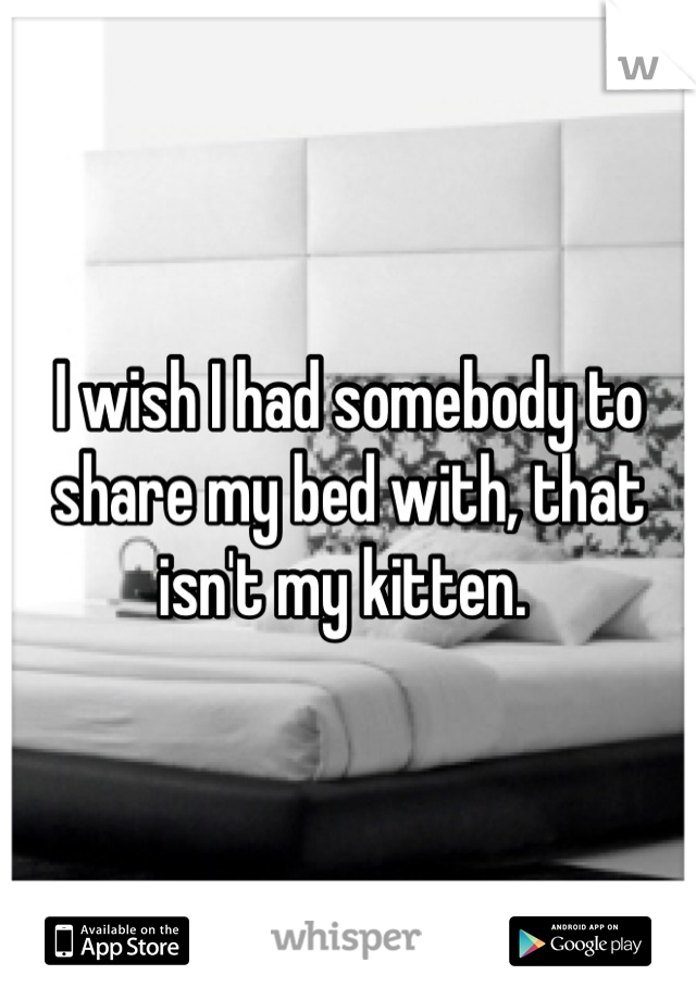 I wish I had somebody to share my bed with, that isn't my kitten. 