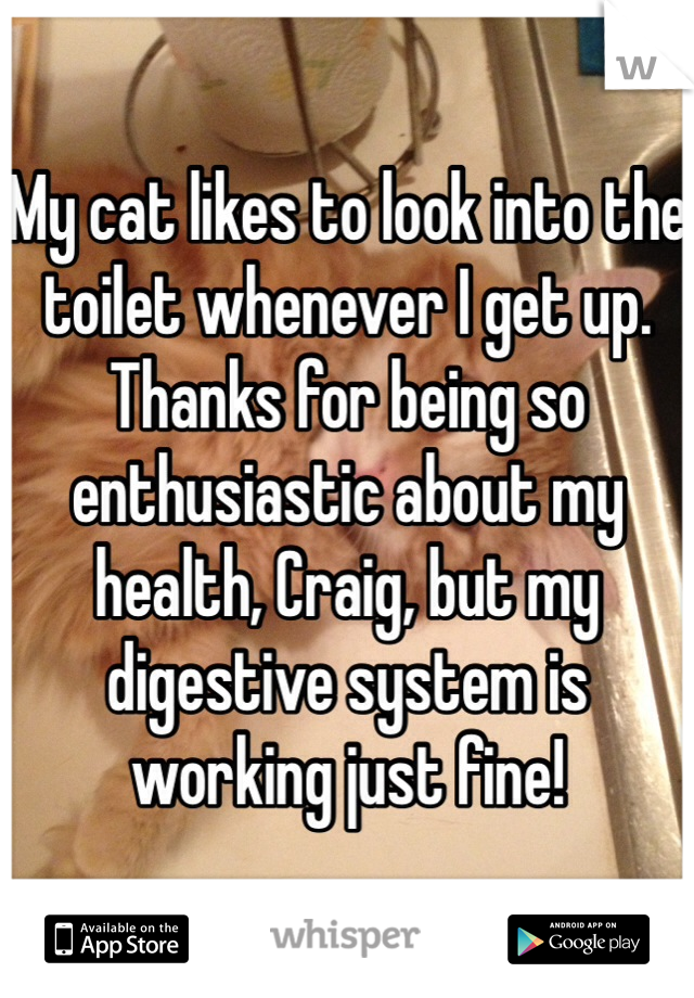 My cat likes to look into the toilet whenever I get up. Thanks for being so enthusiastic about my health, Craig, but my digestive system is working just fine!