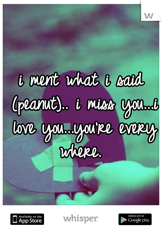 i ment what i said (peanut).. i miss you...i love you...you're every where. 