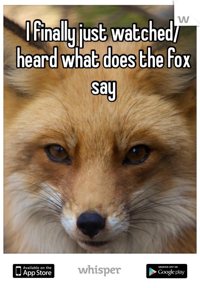 I finally just watched/heard what does the fox say 