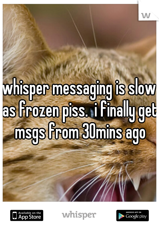 whisper messaging is slow as frozen piss.  i finally get msgs from 30mins ago