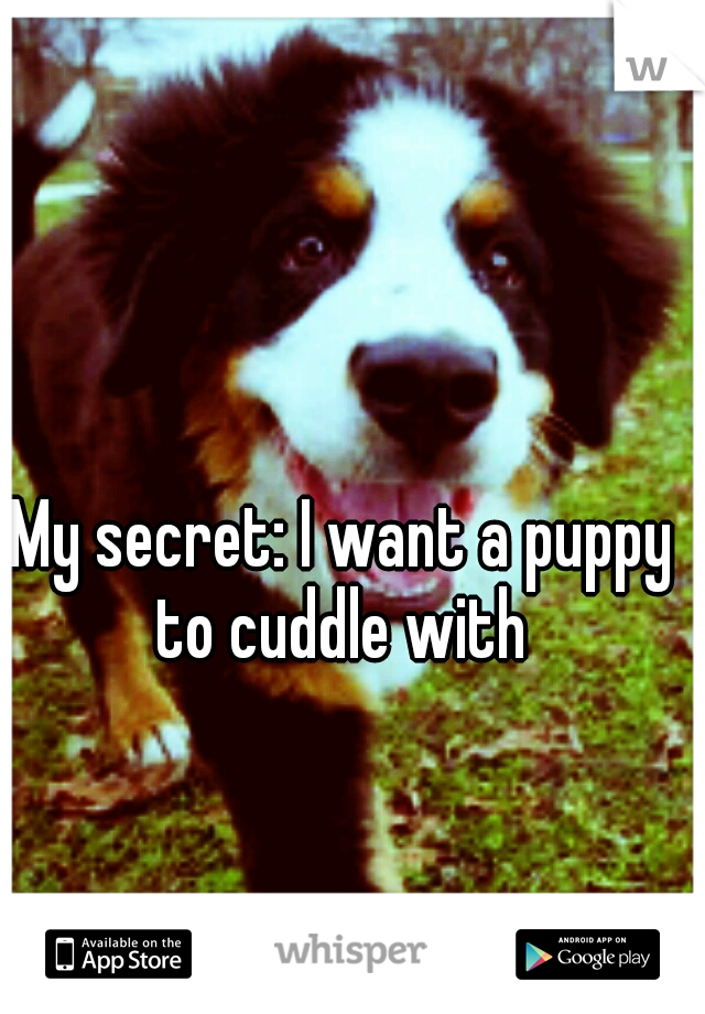 My secret: I want a puppy to cuddle with 