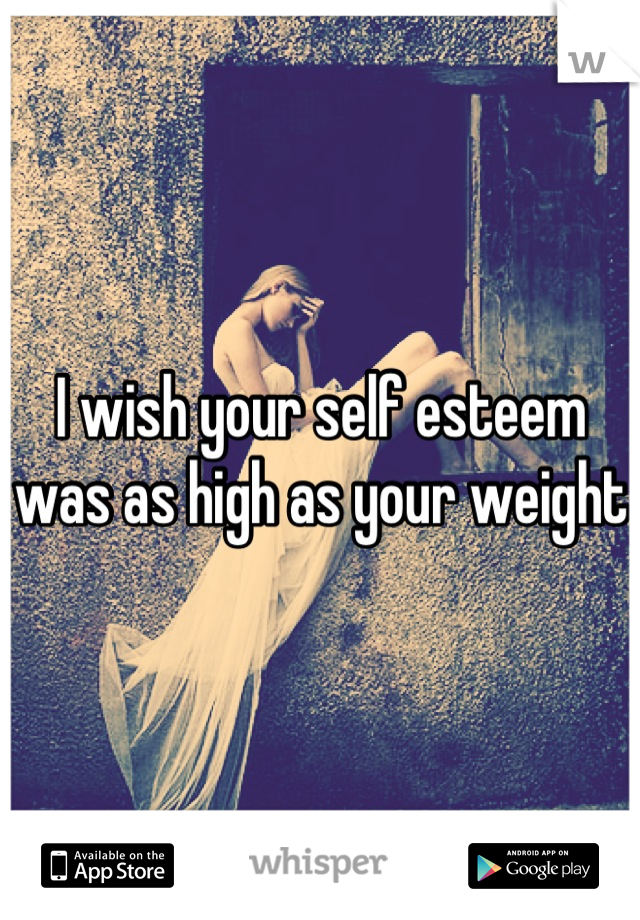 I wish your self esteem was as high as your weight 