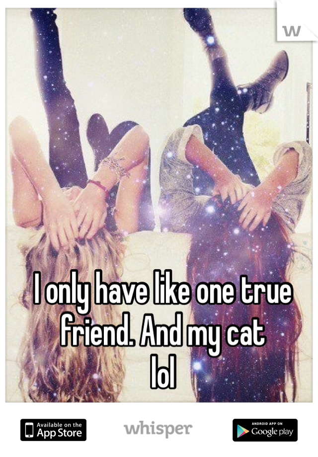 I only have like one true friend. And my cat 
lol 