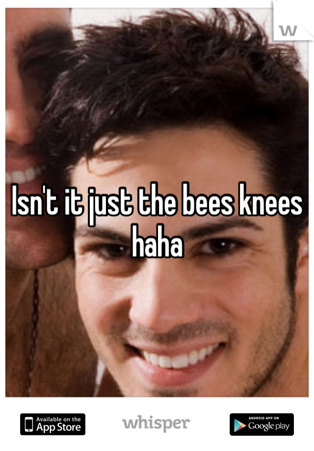 Isn't it just the bees knees haha 