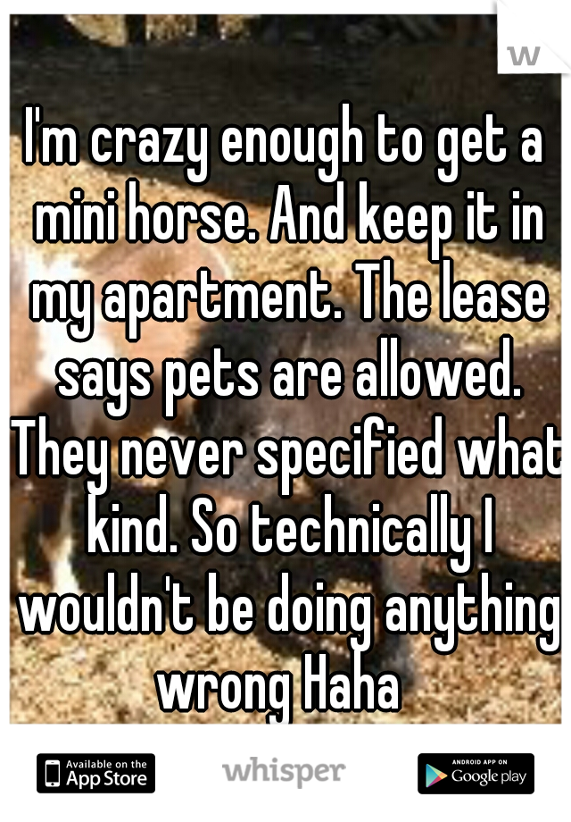 I'm crazy enough to get a mini horse. And keep it in my apartment. The lease says pets are allowed. They never specified what kind. So technically I wouldn't be doing anything wrong Haha  