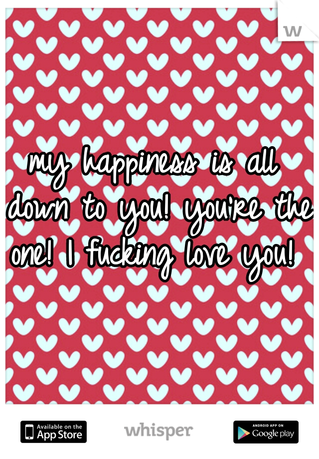 my happiness is all down to you! you're the one! I fucking love you! 