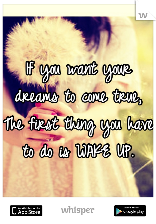 If you want your dreams to come true, The first thing you have to do is WAKE UP.