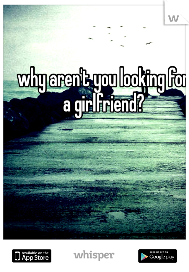 why aren't you looking for a girlfriend? 