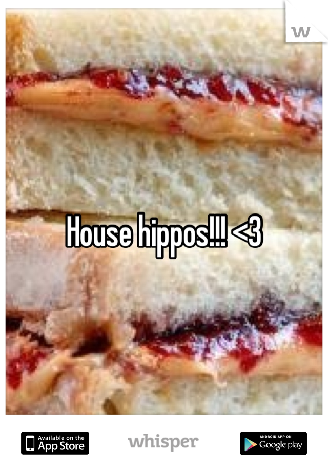 House hippos!!! <3