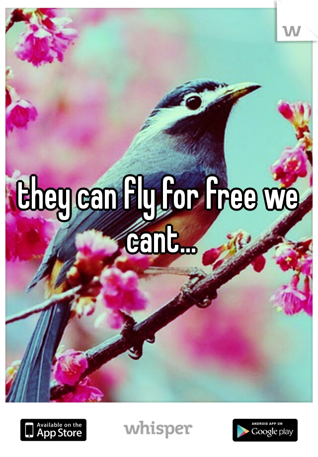 they can fly for free we cant...